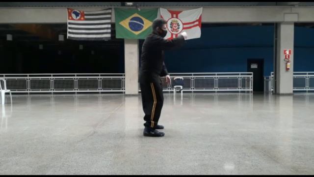 Tai Chi Chuan forma 10 adaptada смотреть онлайн