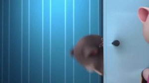 Говорящий Том И Его Друзья - Минимульты (все серии)