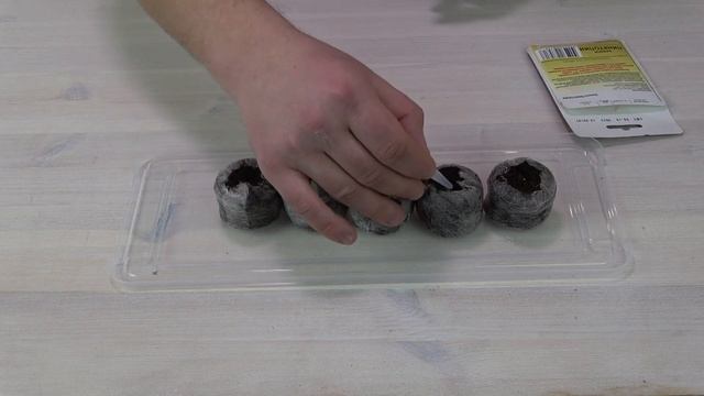 Бакопа как правильно посеять смотреть онлайн