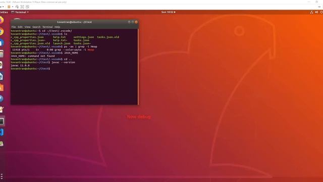 C JAVA DEBUG (GDB, JDT) for VSB in Ubuntu 18.04 смотреть онлайн