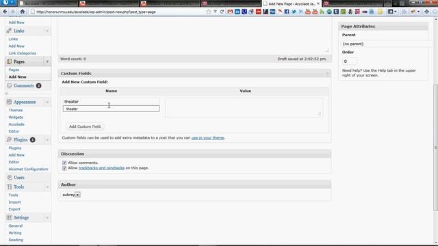 How to add a video to a page or post by using a custom field. смотреть онлайн