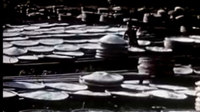 Java, Indonesia before 1940 in Colour- Tempo Doeloe смотреть онлайн