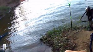 Сазан на Ахтубе, сложное место ловли.