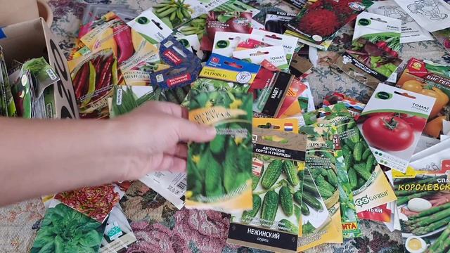 Не спешите покупать семена 2022 год пока не посмотрите это видео! смотреть онлайн