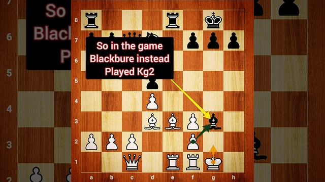 Blackburne was too good during 1800s | Brilliant game ?? смотреть онлайн