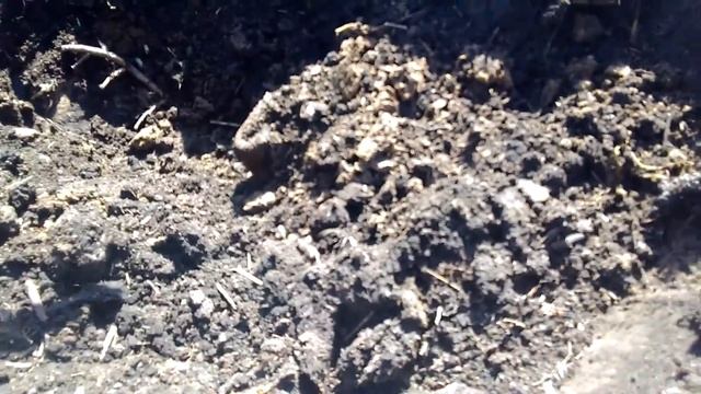 Коп МД С Андрюхой, медленно но уверенно! смотреть онлайн