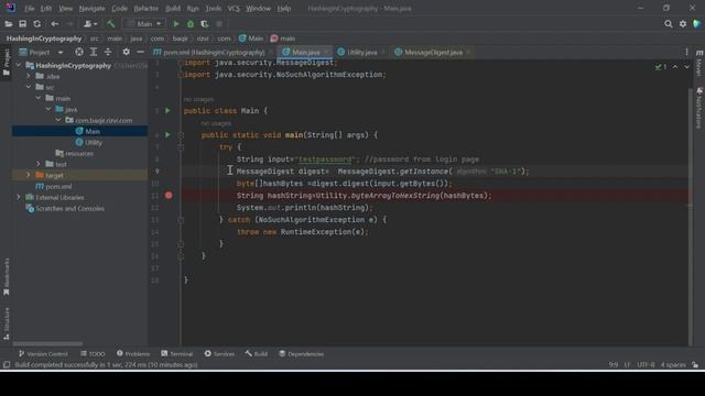 Hashing Hands-on using Java Programming | Hashing in Java | Storing Passwords смотреть онлайн