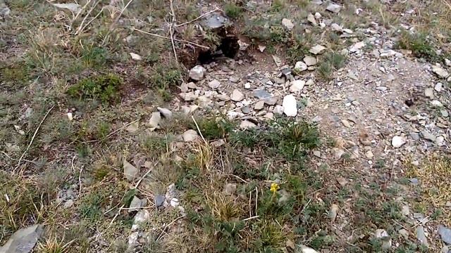 Единственное место на Джайляу ВКО где ловит сотовый 5 Июля 2020г.