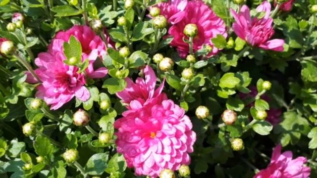 Луна в октябре 2021 г смотреть онлайн