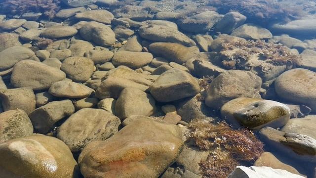 Сказочный телепорт. Приключение на Черном море. Фауна Черного моря. Познавательное видео для детей. смотреть онлайн