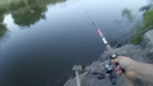 Ночная ловля Сома, хороший сом на малой реке! Catfish.