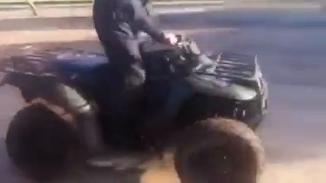 kawasaki kvf 360 2x4 смотреть онлайн