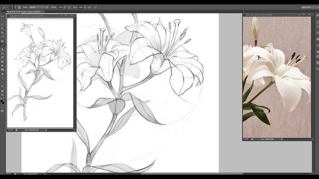 Процесс рисования цветка смотреть онлайн