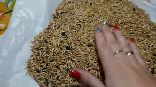 Корм для грызунов Topsi, да/нет😞 смотреть онлайн