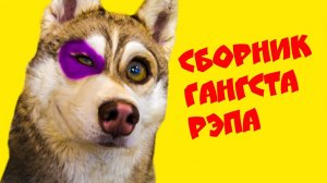 БУБЛИК ГАНГСТА РЭП  ВСЕ МУЗЫКАЛЬНЫЕ СЕРИИ ПОДРЯД Хаски Бублик Говорящая собака Mister Booble