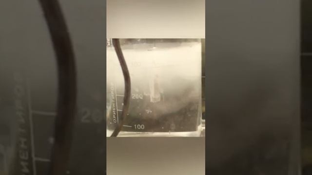 Кольцо из белого золота смотреть онлайн