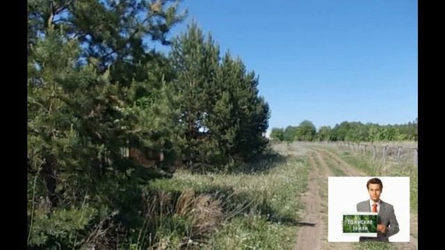 Ищу инвестора для проекта 