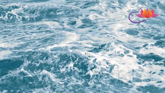 BABA NAM KEVALAM Kiirtan Vibration 8 смотреть онлайн