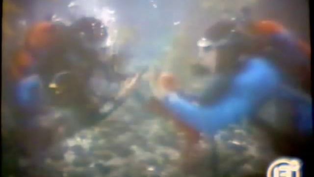 Baywatch Danger Scuba смотреть онлайн