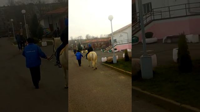 катание на лошадке в минске зоопарк смотреть онлайн