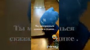 ребёнок в садике матерится