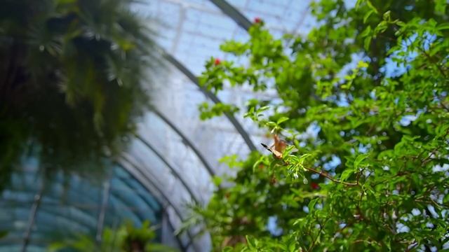 Running The World's Friendliest Airport | Changi Airport [Season 1 All Episodes] | Spark