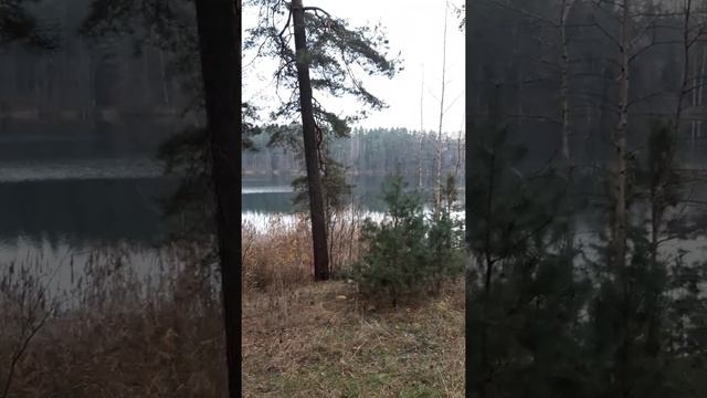 Беларусь, д.Боровка смотреть онлайн