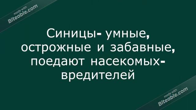 Животный мир на букву С смотреть онлайн