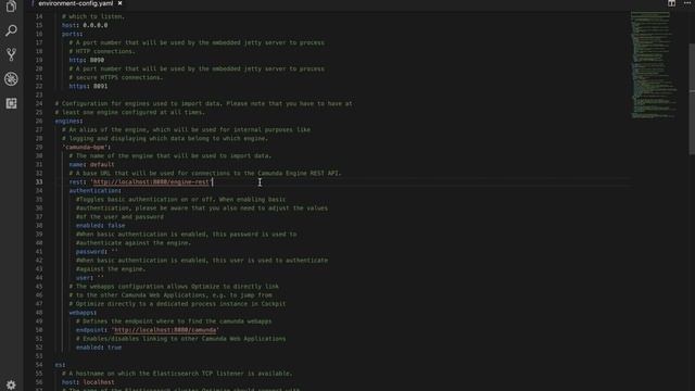 Camunda Optimize - Getting started in less than 5 minutes смотреть онлайн