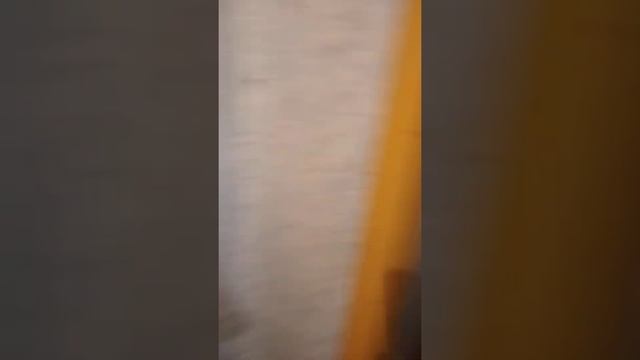 Затока спартанские условия) смотреть онлайн