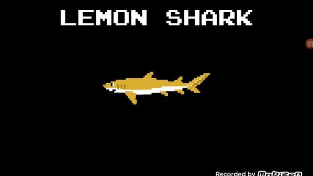 Это не лимонная акула! смотреть онлайн