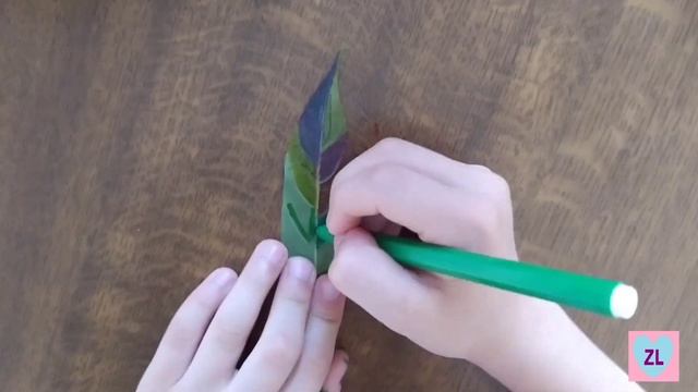 Рисование для детей. Рисуем перья. Рисуем легко и просто смотреть онлайн