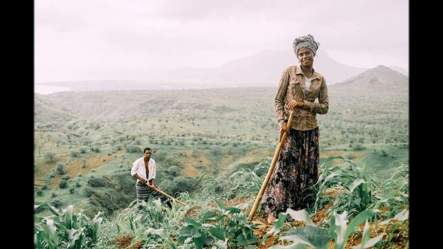 Лучшие фото от NATIONAL GEOGRAPHIC смотреть онлайн