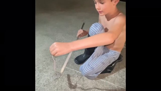 Epic Baby Python catch смотреть онлайн
