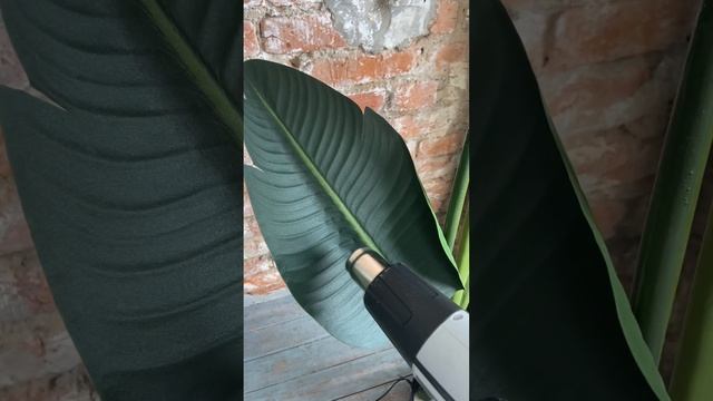 Edenplant.ru - Искусственное дерево Стрелиция Николая Люкс 180см смотреть онлайн