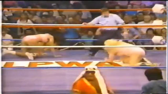 Shelley FRANCIS Vs Lelani KAI смотреть онлайн