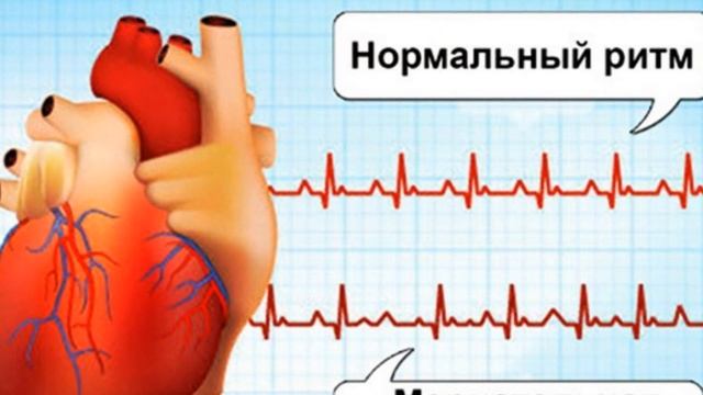 Вкусная кухня мира