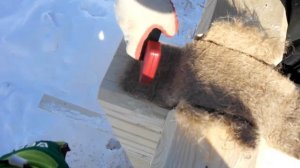 Как правильно укладывать межвенцовый утеплитель Джут