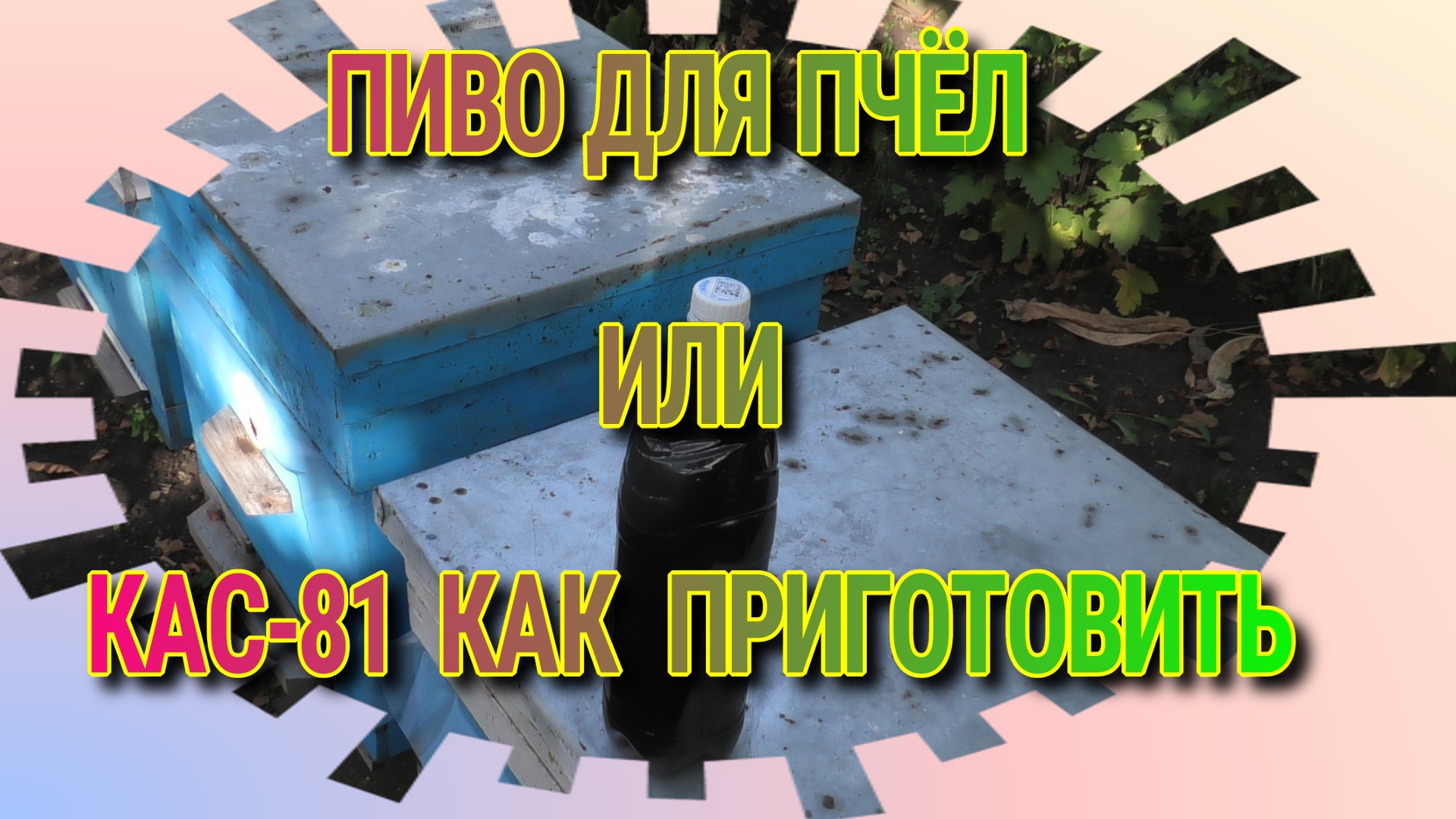 ПИВО ДЛЯ ПЧЁЛ ,КАС-81 ПОРА ПОИТЬ ПЧЁЛ..mp4 смотреть онлайн