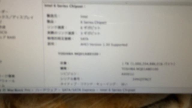MacBook Pro 2011 Core I7 2.0GHz 4GB 1TB 外付け2.5/500GB