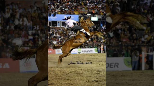 Entrevista al jinete Braian Brion en El Caballo Para Todos. смотреть онлайн