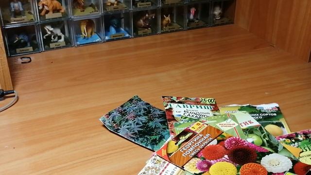 Обзор семян на 2021год. Какие семена я буду сажать в 2021году? смотреть онлайн