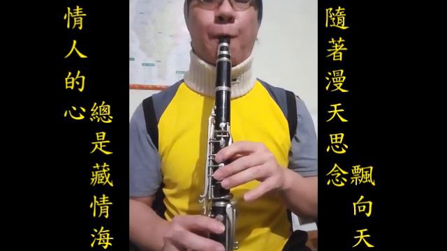 向蕙玲-月娘的眼淚-降B調黑管/豎笛/單簧管/Clarinet練習03(cover-by 任閒騎miraclemaryboy)F調 смотреть онлайн