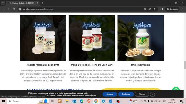 Hongo Melena De León De DXN | Melena De León Propiedades Para La Salud