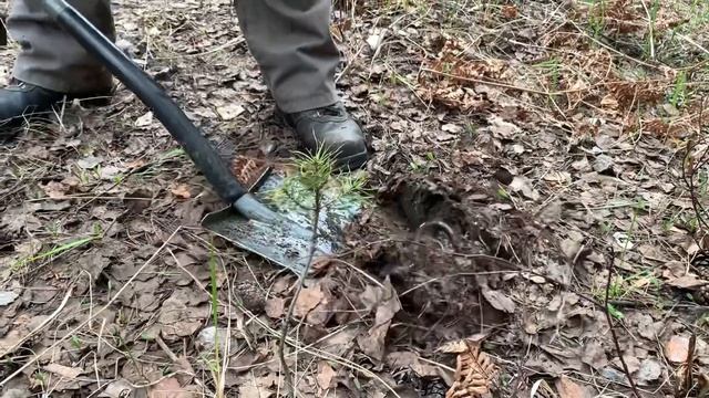 МЕТАЛЛОКОП НА СТАРОЙ УЖД! БЫВШИЕ ТОРФОРАЗРАБОТКИ! смотреть онлайн