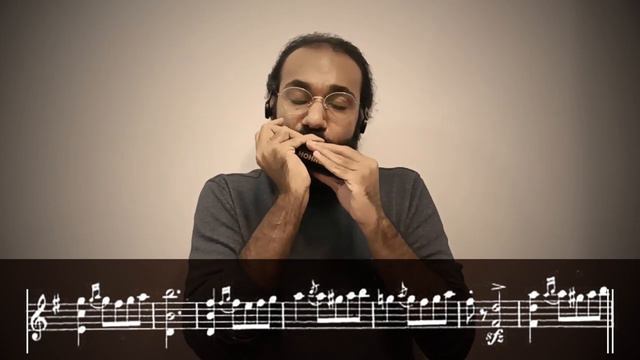 Moszkowski. Spanish Dance No.2 - Harmonica cover by Saeed Ghasemi смотреть онлайн