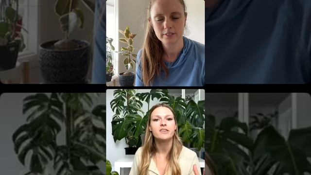 Cactus Chat: Variegation смотреть онлайн