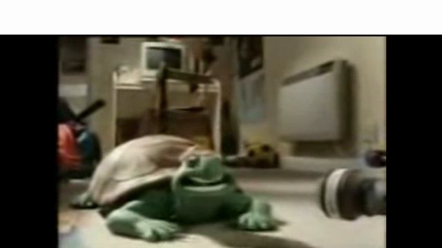 FREE Slander Template Latest Without Watermark  #slander #meme  Slander Video