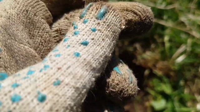 XP DEUS 2. ПРОГРАММА 1 самая лучшая для весны! Все находки унести домой не удалось! #xpdeus2