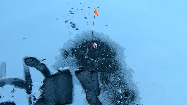 ПОСТАВИЛИ ЖЕРЛИЦЫ И ТРЕСНУЛ ЛЁД ПОД НОГАМИ. Зимняя рыбалка на жерлицы смотреть онлайн